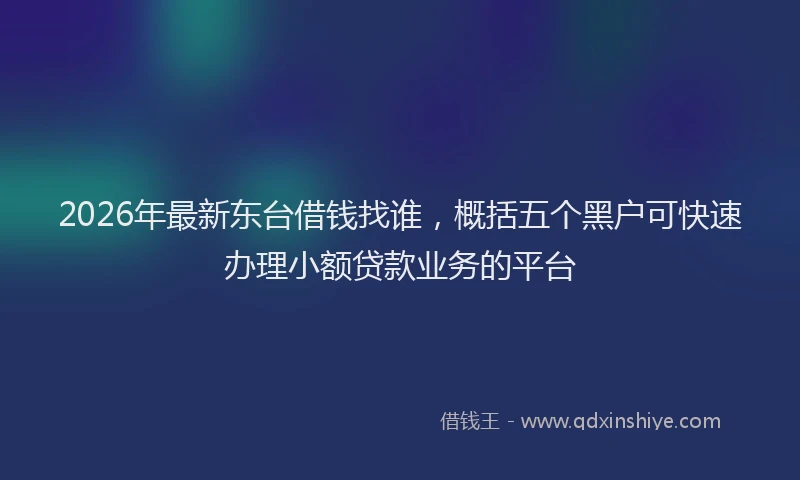 2026年最新东台借钱找谁，概括五个黑户可快速办理小额贷款业务的平台