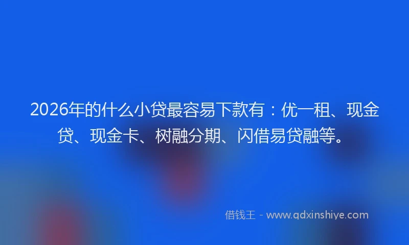 2026年的什么小贷最容易下款有：优一租、现金贷、现金卡、树融分期、闪借易贷融等。