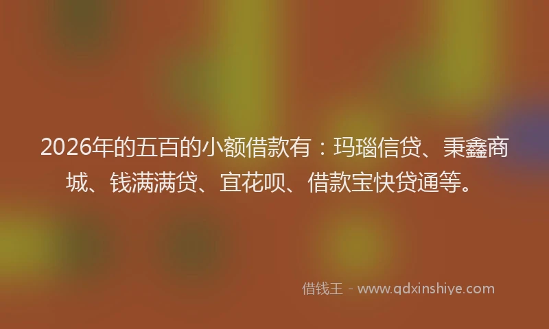 2026年的五百的小额借款有：玛瑙信贷、秉鑫商城、钱满满贷、宜花呗、借款宝快贷通等。