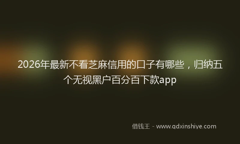 2026年最新不看芝麻信用的口子有哪些，归纳五个无视黑户百分百下款app