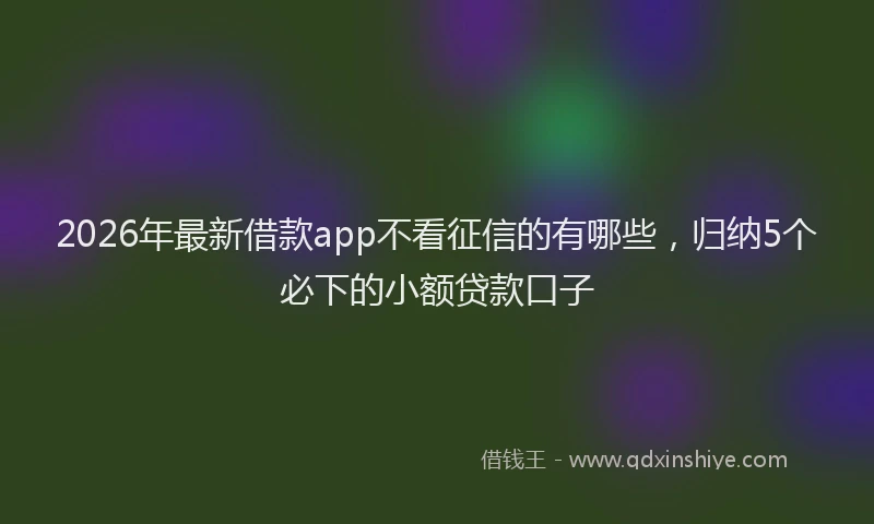 2026年最新借款app不看征信的有哪些，归纳5个必下的小额贷款口子