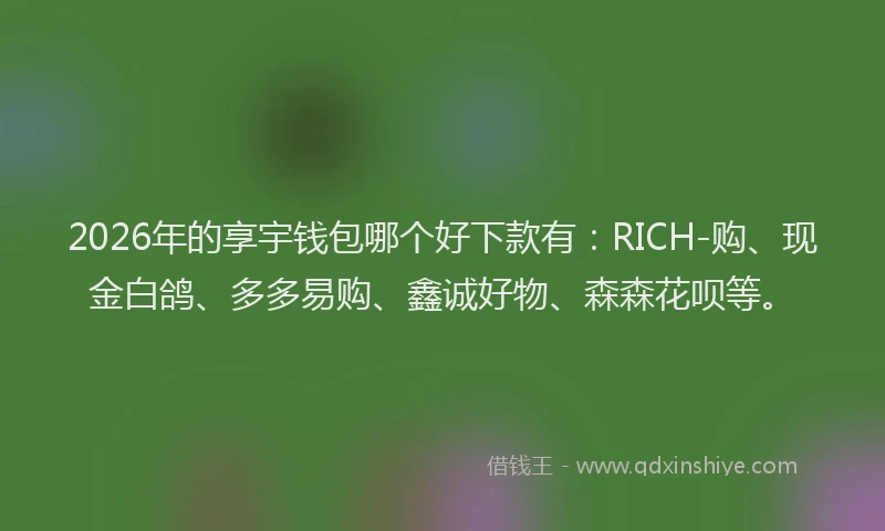 2026年的享宇钱包哪个好下款有:RICH-购、现金白鸽、多多易购、鑫诚好物、森森花呗等。