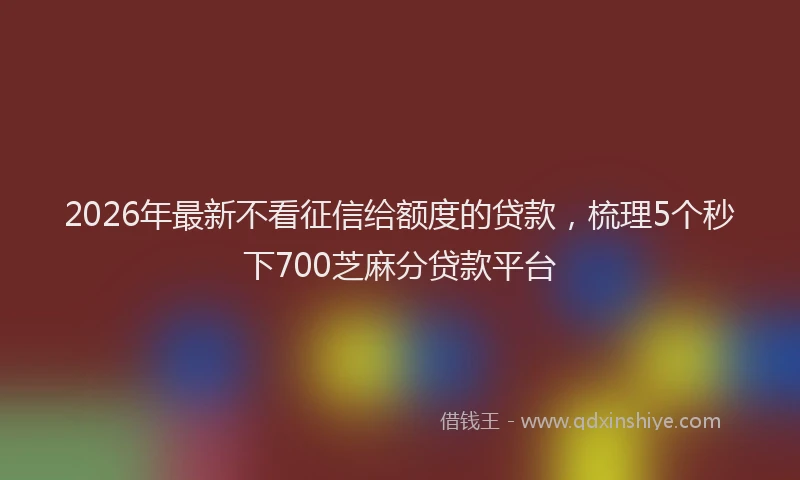 2026年最新不看征信给额度的贷款，梳理5个秒下700芝麻分贷款平台