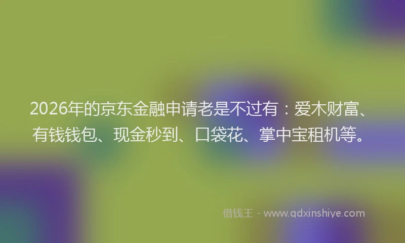 2026年的京东金融申请老是不过有：爱木财富、有钱钱包、现金秒到、口袋花、掌中宝租机等。