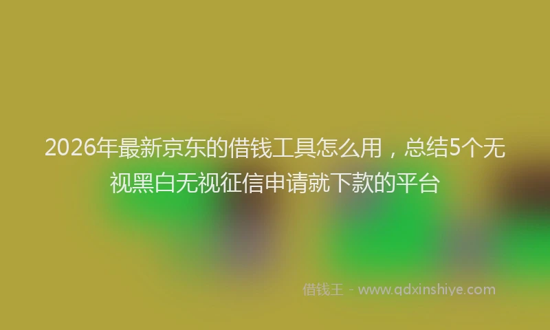 2026年最新京东的借钱工具怎么用，总结5个无视黑白无视征信申请就下款的平台