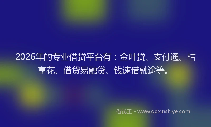 2026年的专业借贷平台有：金叶贷、支付通、桔享花、借贷易融贷、钱速借融途等。
