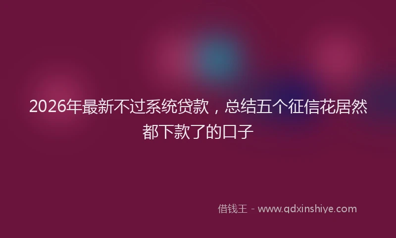 2026年最新不过系统贷款，总结五个征信花居然都下款了的口子