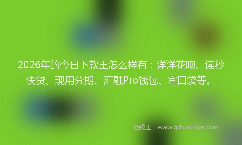 2026年的今日下款王怎么样有:洋洋花呗、读秒快贷、现用分期、汇融Pro钱包、宜口袋等。