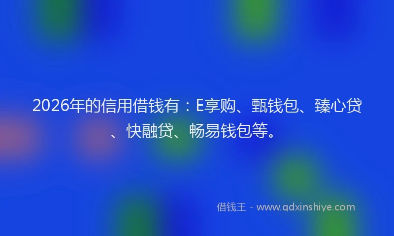 2026年的信用借钱有：E享购、甄钱包、臻心贷、快融贷、畅易钱包等。