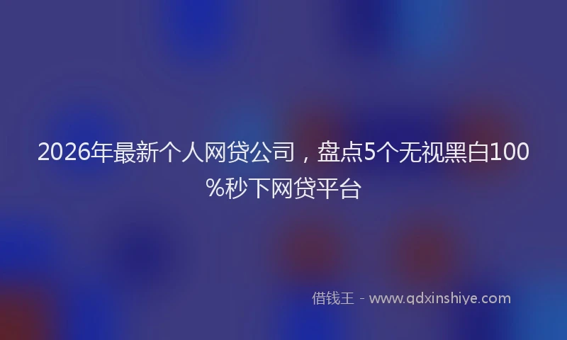 2026年最新个人网贷公司，盘点5个无视黑白100%秒下网贷平台
