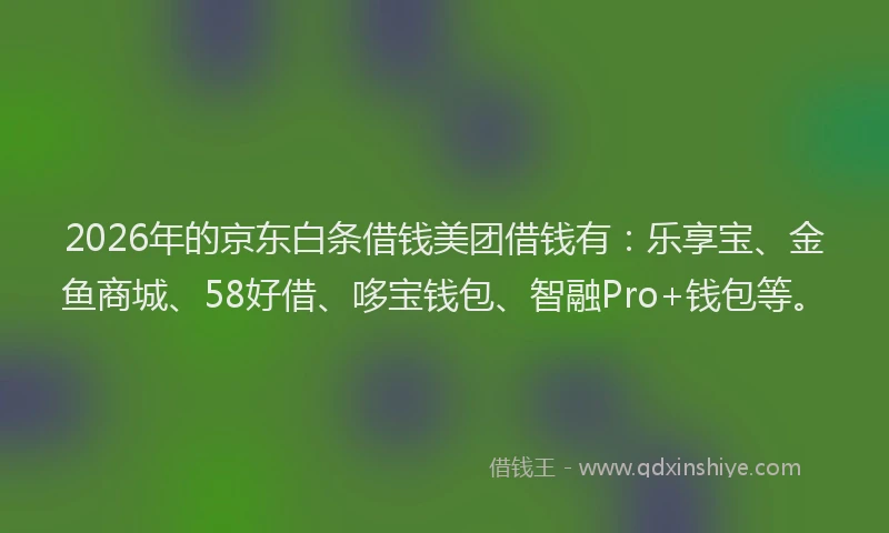 2026年的京东白条借钱美团借钱有:乐享宝、金鱼商城、58好借、哆宝钱包、智融Pro+钱包等。