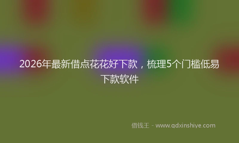 2026年最新借点花花好下款，梳理5个门槛低易下款软件