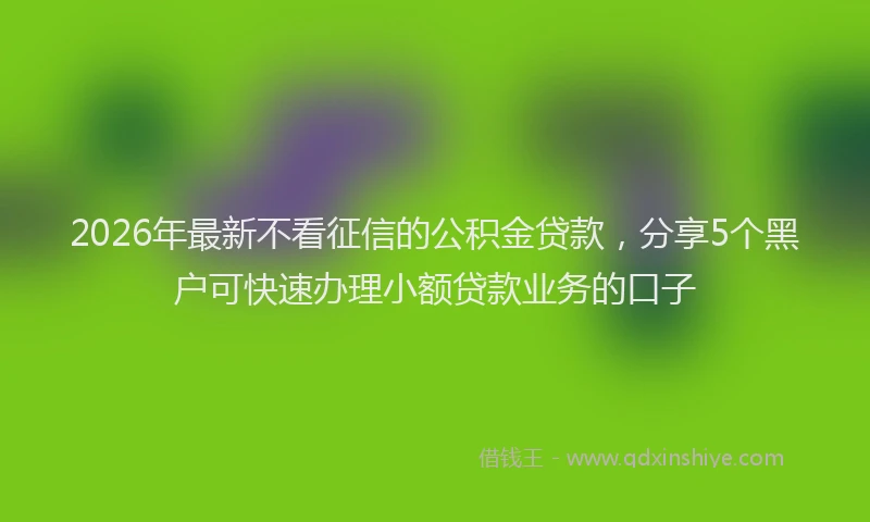 2026年最新不看征信的公积金贷款，分享5个黑户可快速办理小额贷款业务的口子