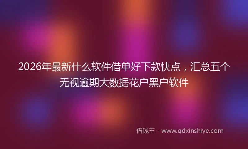 2026年最新什么软件借单好下款快点,汇总五个无视逾期大数据花户黑户软件