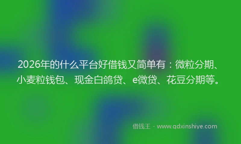 2026年的什么平台好借钱又简单有：微粒分期、小麦粒钱包、现金白鸽贷、e微贷、花豆分期等。