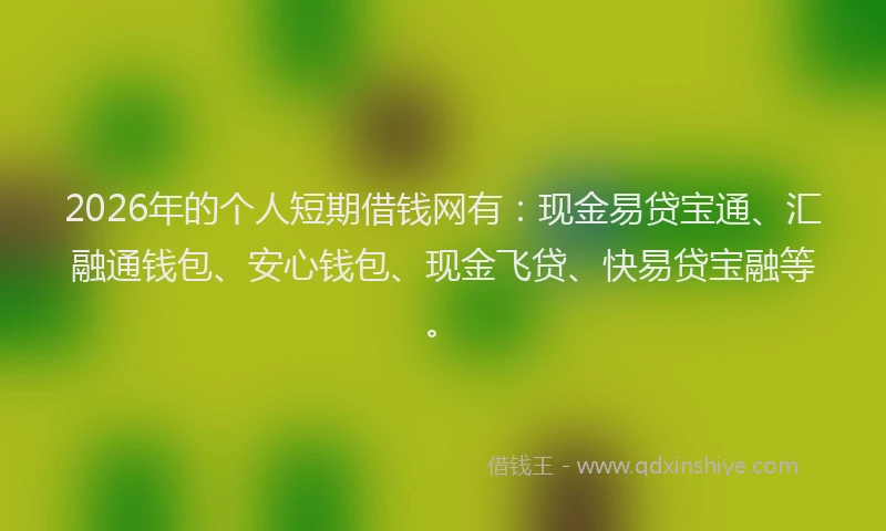 2026年的个人短期借钱网有:现金易贷宝通、汇融通钱包、安心钱包、现金飞贷、快易贷宝融等。