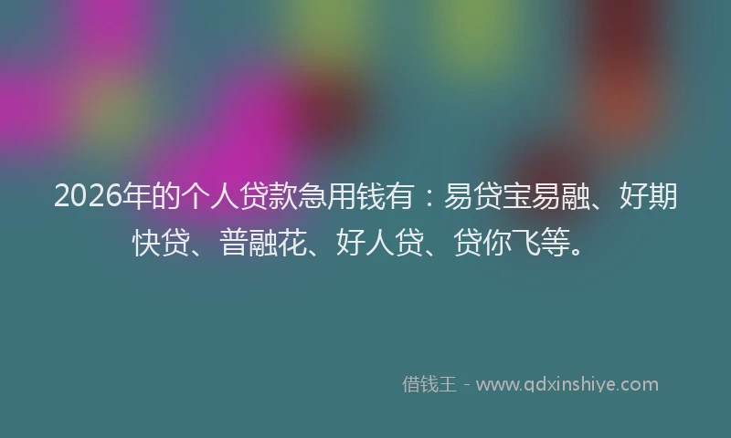 2026年的个人贷款急用钱有：易贷宝易融、好期快贷、普融花、好人贷、贷你飞等。