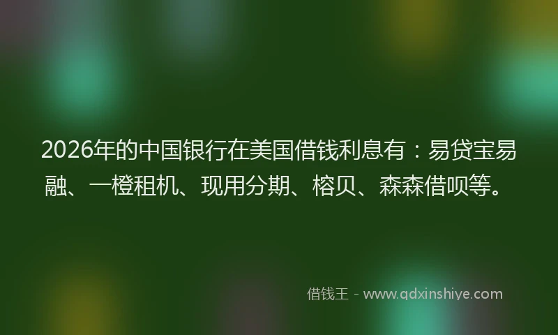 2026年的中国银行在美国借钱利息有:易贷宝易融、一橙租机、现用分期、榕贝、森森借呗等。