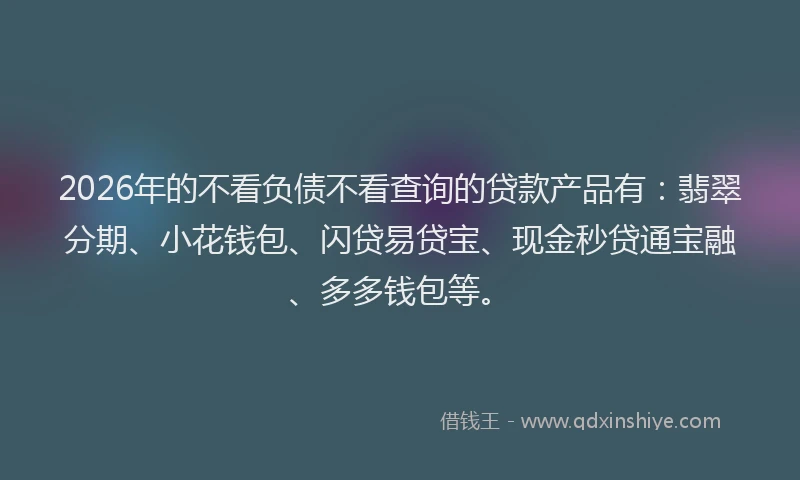 2026年的不看负债不看查询的贷款产品有：翡翠分期、小花钱包、闪贷易贷宝、现金秒贷通宝融、多多钱包等。