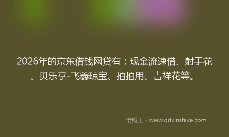 2026年的京东借钱网贷有:现金流速借、射手花、贝乐享-飞鑫琼宝、拍拍用、吉祥花等。