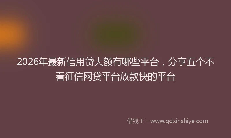 2026年最新信用贷大额有哪些平台,分享五个不看征信网贷平台放款快的平台