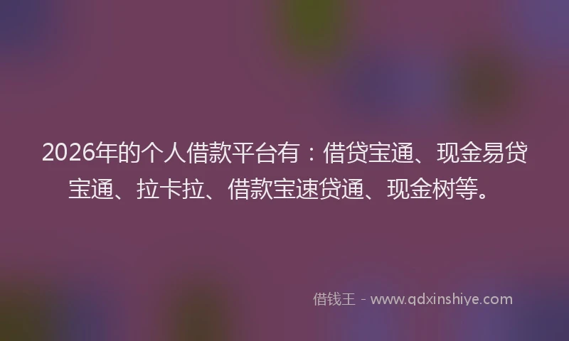 2026年的个人借款平台有：借贷宝通、现金易贷宝通、拉卡拉、借款宝速贷通、现金树等。