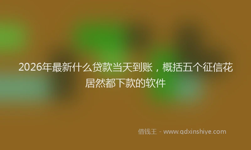 2026年最新什么贷款当天到账,概括五个征信花居然都下款的软件