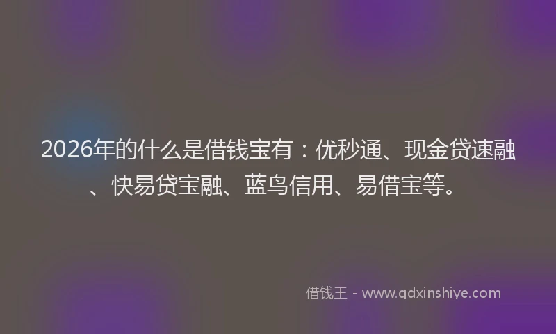 2026年的什么是借钱宝有：优秒通、现金贷速融、快易贷宝融、蓝鸟信用、易借宝等。