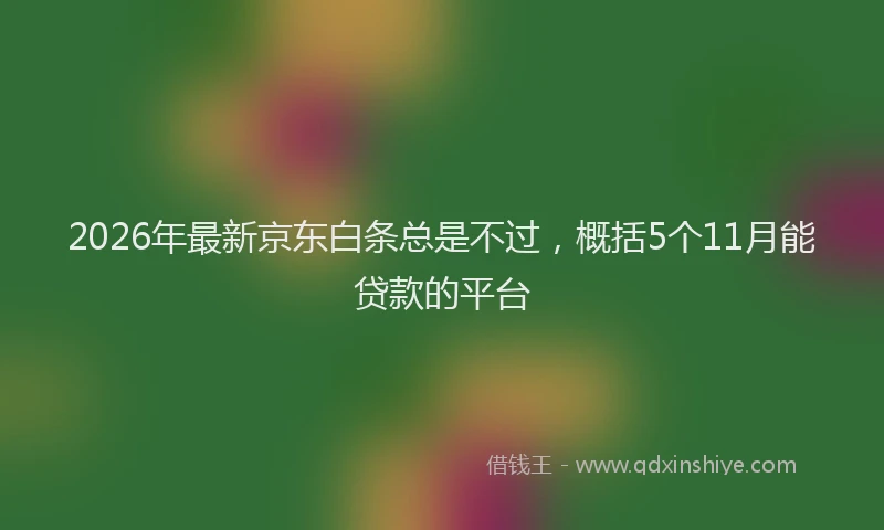 2026年最新京东白条总是不过，概括5个11月能贷款的平台