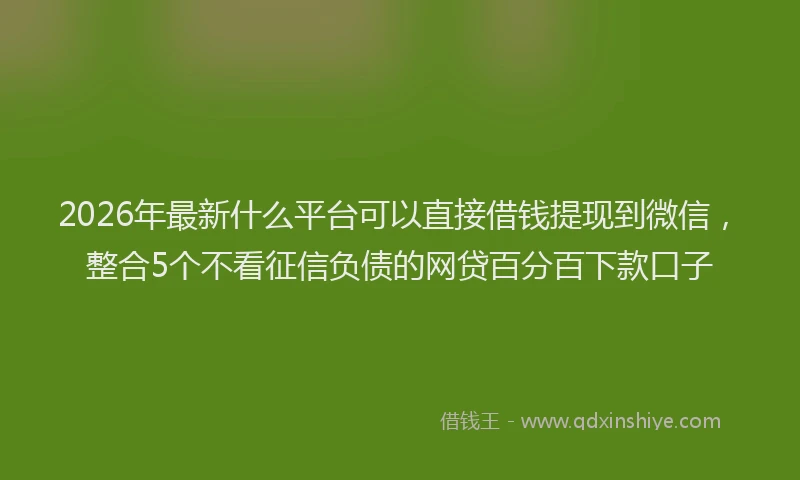 2026年最新什么平台可以直接借钱提现到微信，整合5个不看征信负债的网贷百分百下款口子