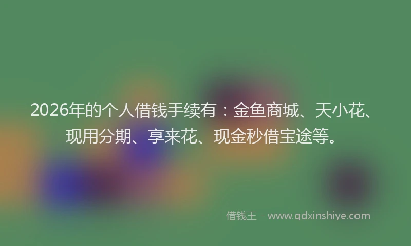 2026年的个人借钱手续有:金鱼商城、天小花、现用分期、享来花、现金秒借宝途等。