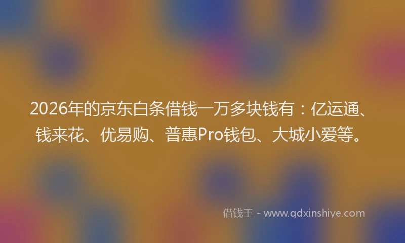 2026年的京东白条借钱一万多块钱有:亿运通、钱来花、优易购、普惠Pro钱包、大城小爱等。