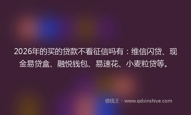2026年的买的贷款不看征信吗有：维信闪贷、现金易贷盒、融悦钱包、易速花、小麦粒贷等。