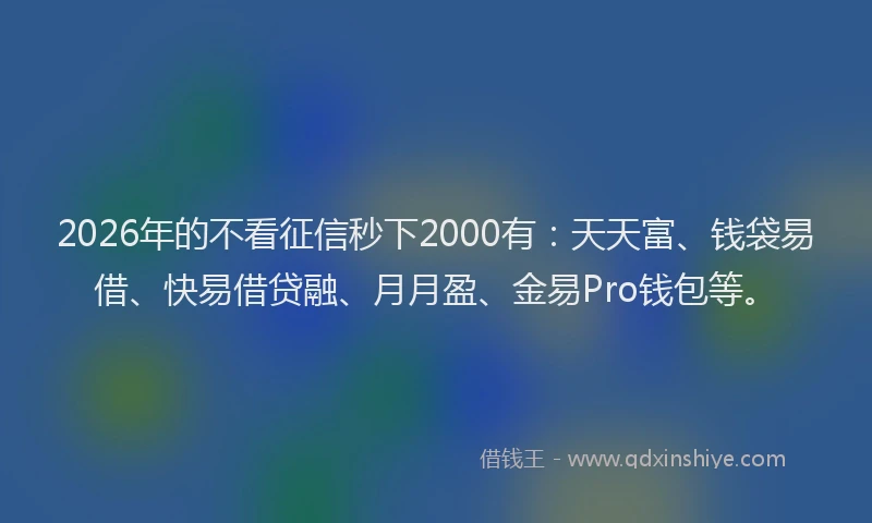 2026年的不看征信秒下2000有：天天富、钱袋易借、快易借贷融、月月盈、金易Pro钱包等。