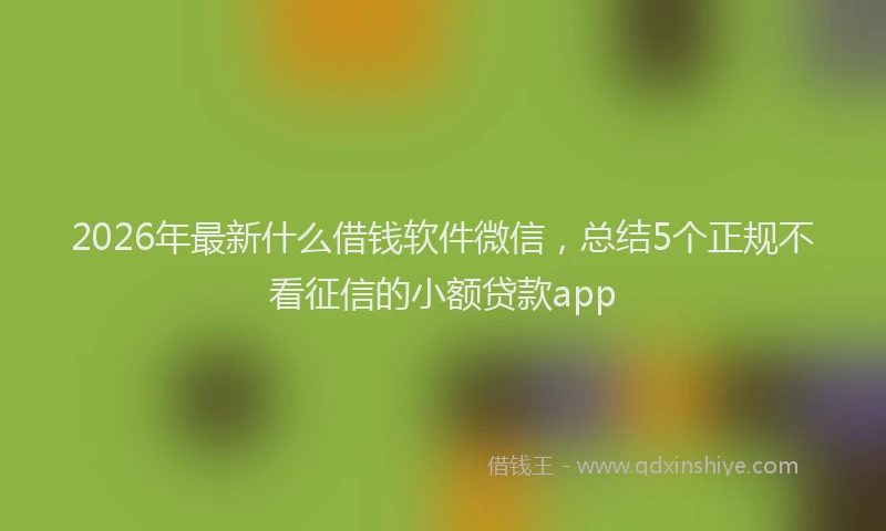 2026年最新什么借钱软件微信，总结5个正规不看征信的小额贷款app
