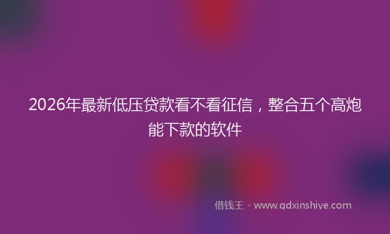 2026年最新低压贷款看不看征信,整合五个高炮能下款的软件