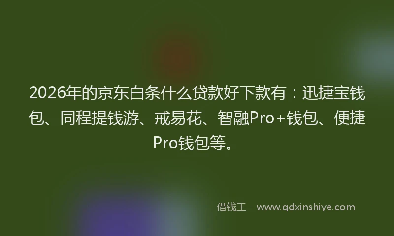 2026年的京东白条什么贷款好下款有:迅捷宝钱包、同程提钱游、戒易花、智融Pro+钱包、便捷Pro钱包等。