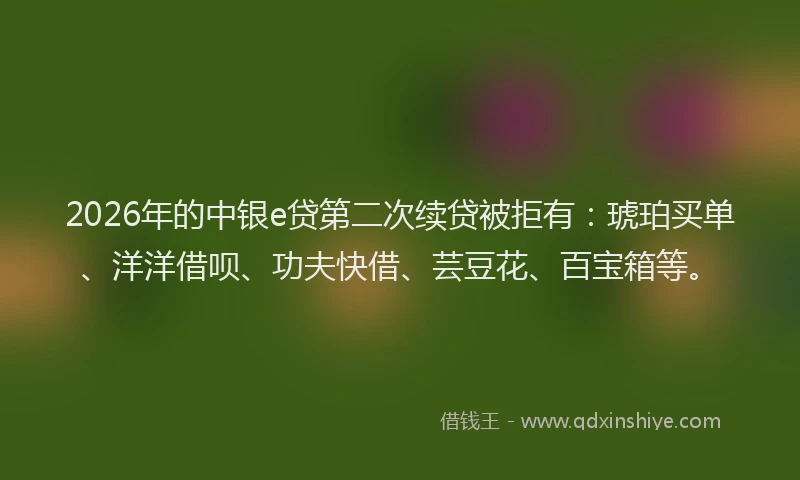 2026年的中银e贷第二次续贷被拒有：琥珀买单、洋洋借呗、功夫快借、芸豆花、百宝箱等。