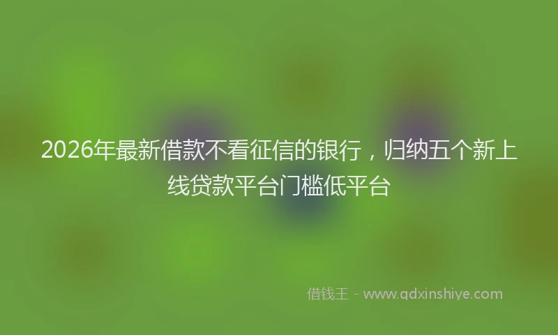 2026年最新借款不看征信的银行，归纳五个新上线贷款平台门槛低平台