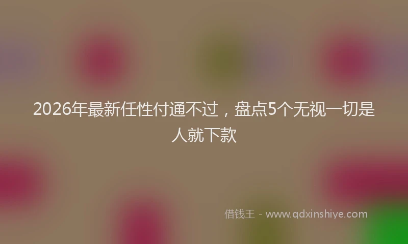 2026年最新任性付通不过，盘点5个无视一切是人就下款