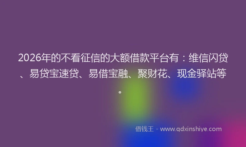 2026年的不看征信的大额借款平台有：维信闪贷、易贷宝速贷、易借宝融、聚财花、现金驿站等。