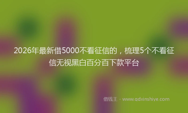 2026年最新借5000不看征信的，梳理5个不看征信无视黑白百分百下款平台
