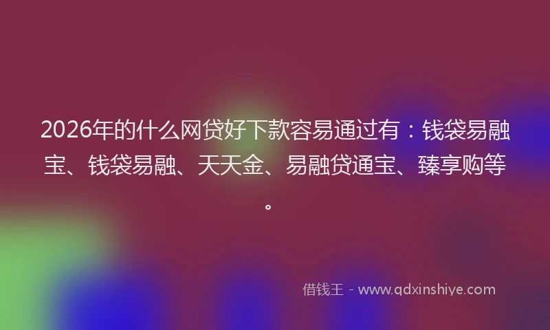 2026年的什么网贷好下款容易通过有:钱袋易融宝、钱袋易融、天天金、易融贷通宝、臻享购等。
