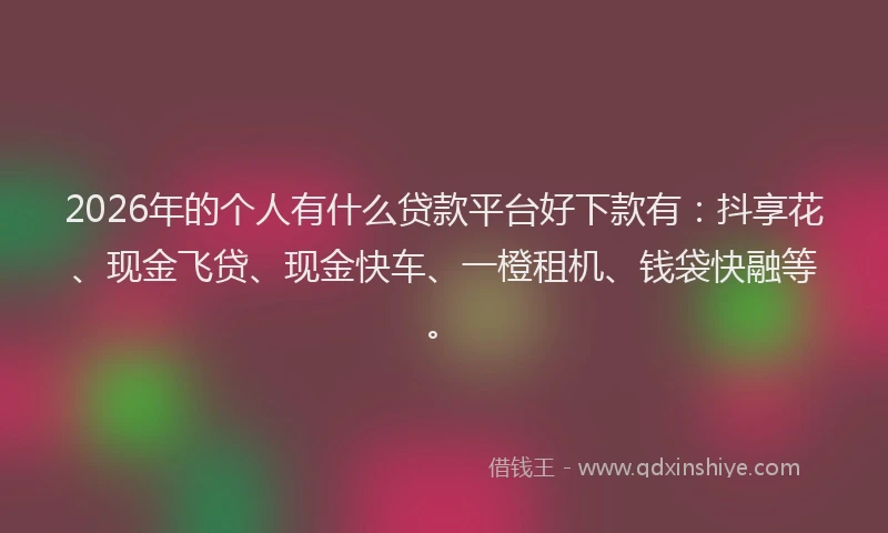 2026年的个人有什么贷款平台好下款有:抖享花、现金飞贷、现金快车、一橙租机、钱袋快融等。