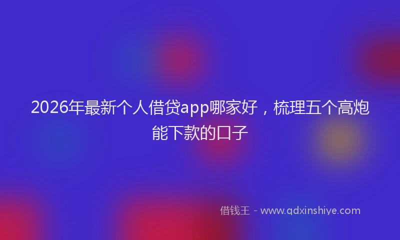 2026年最新个人借贷app哪家好,梳理五个高炮能下款的口子