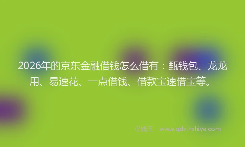 2026年的京东金融借钱怎么借有：甄钱包、龙龙用、易速花、一点借钱、借款宝速借宝等。
