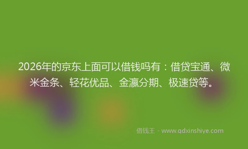 2026年的京东上面可以借钱吗有:借贷宝通、微米金条、轻花优品、金瀛分期、极速贷等。