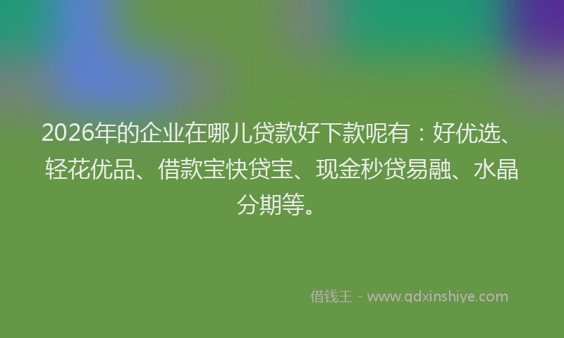 2026年的企业在哪儿贷款好下款呢有：好优选、轻花优品、借款宝快贷宝、现金秒贷易融、水晶分期等。