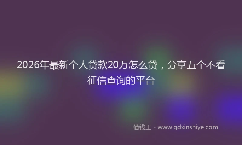 2026年最新个人贷款20万怎么贷，分享五个不看征信查询的平台