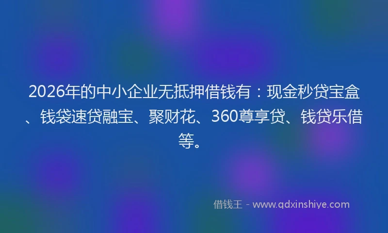 2026年的中小企业无抵押借钱有:现金秒贷宝盒、钱袋速贷融宝、聚财花、360尊享贷、钱贷乐借等。
